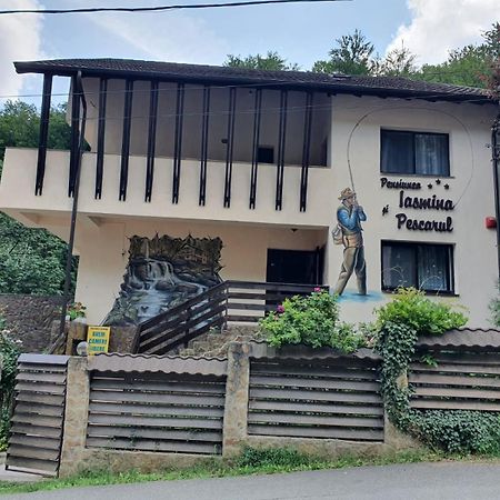 Pensiunea Iasmina si Pescarul Călimăneşti Bagian luar foto