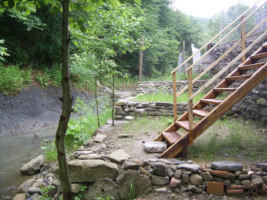 Pensiunea Iasmina si Pescarul Călimăneşti Bagian luar foto